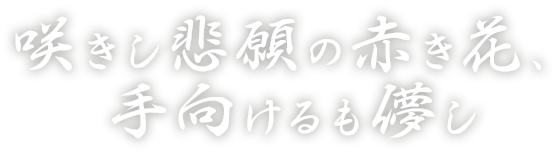 咲きし悲願の赤き花、 手向けるも儚し